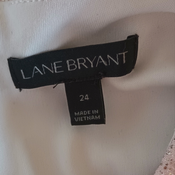 Lane Bryant Sparkle Dress. Size 24 - Picture 13 of 13